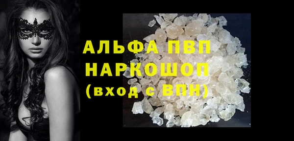 прущие грибы Тайга