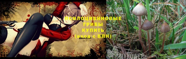 мяу мяу мука Бронницы