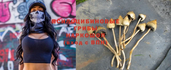 синтетический гашиш Бородино